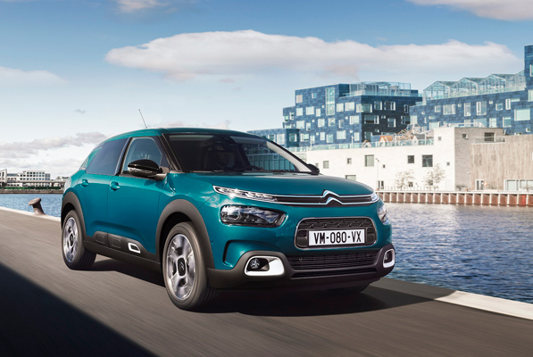 C4 Cactus 1