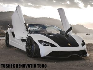 TUSHEK RENOVATIO T500