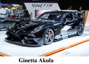 8 Ginetta Akula