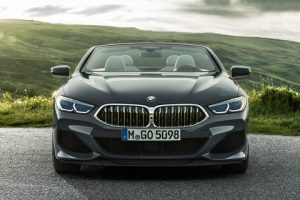 2019 BMW 8 Serisi Convertible 4