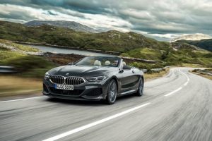 2019 BMW 8 Serisi Convertible 8