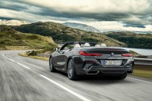 2019 BMW 8 Serisi Convertible 9