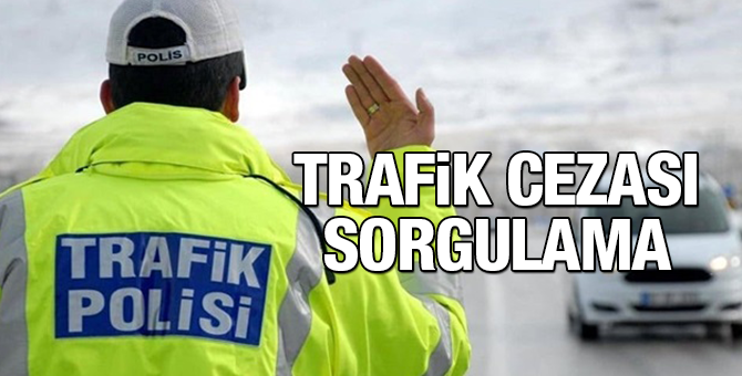 Trafik Cezası Sorgulama ve Ödeme İşlemleri 2024